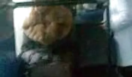 Şişman Sarışın olgun arap seks becerdin alır ve adam cum yapar