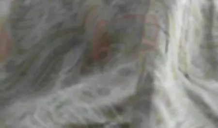 Karımı olgun sex indir vida lütfen